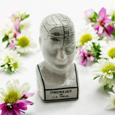 8" PHRENOLOGY HEAD