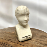 6" PHRENOLOGY HEAD
