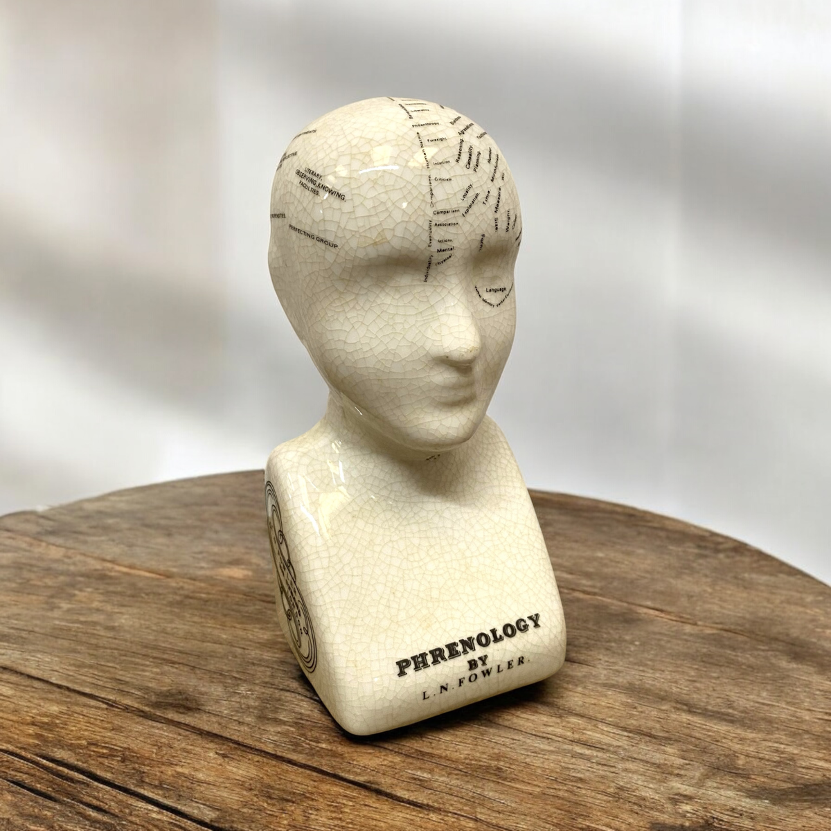 6" PHRENOLOGY HEAD