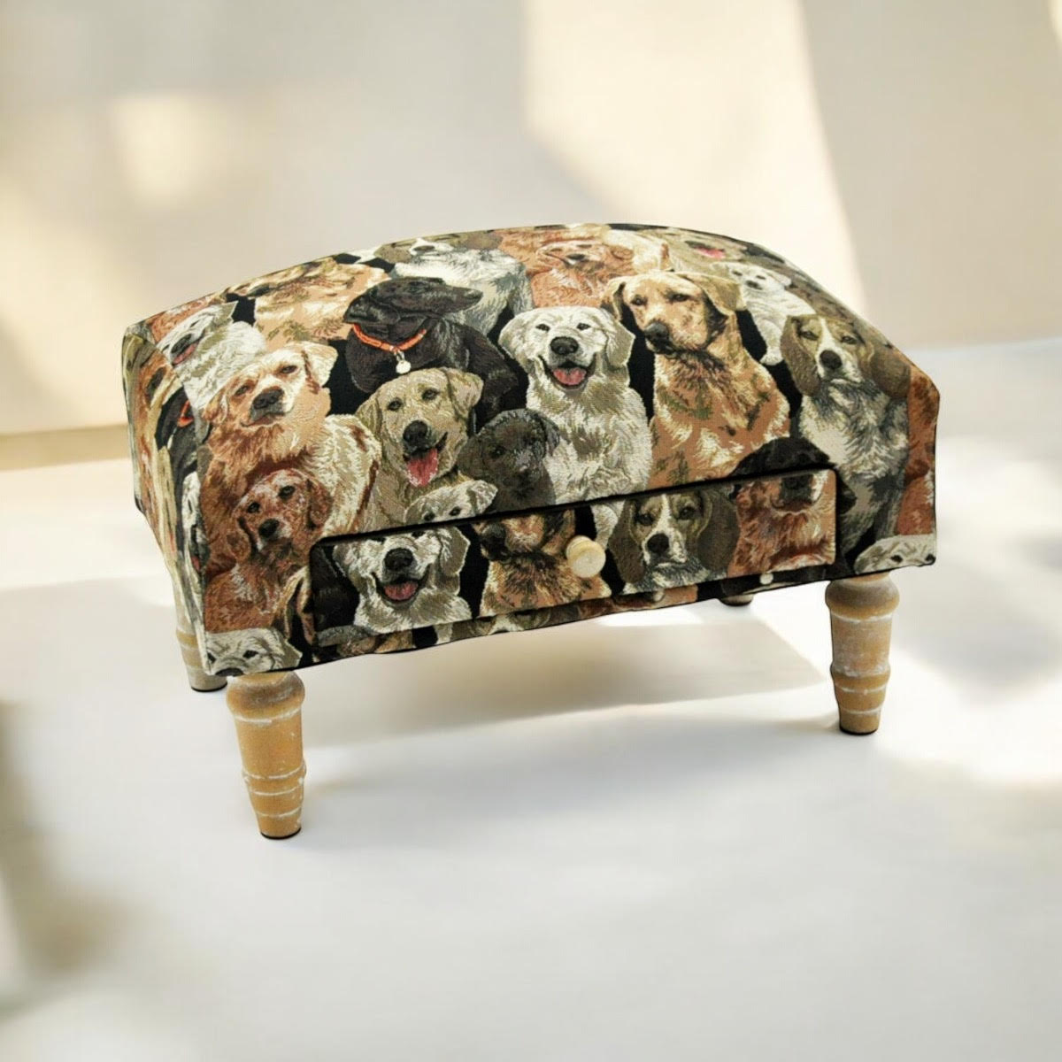 DOGS FOOTSTOOL WITH DRAWER