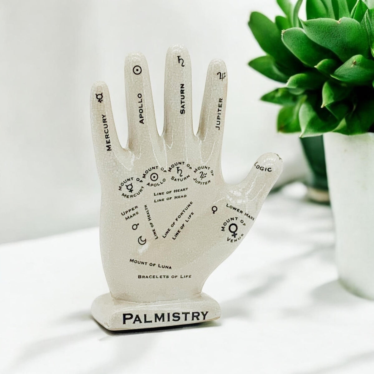 12" PALMESTRY HAND